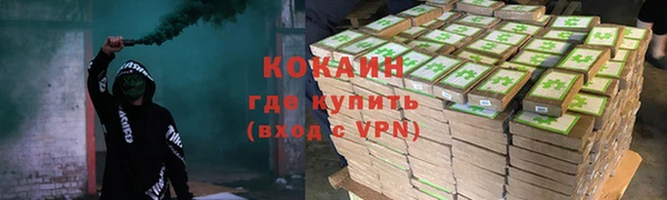 шишки Балабаново
