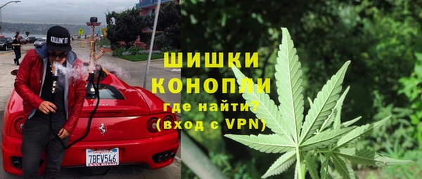 ГАЛЛЮЦИНОГЕННЫЕ ГРИБЫ Аркадак