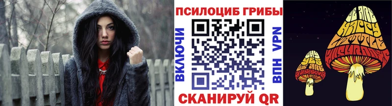 Псилоцибиновые грибы мицелий  купить наркотик  Знаменск 